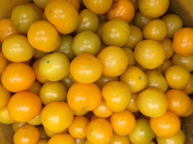 Tomates cerises Galina