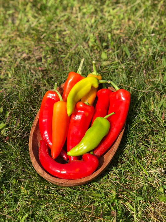 Pepper, Hungarian Wax