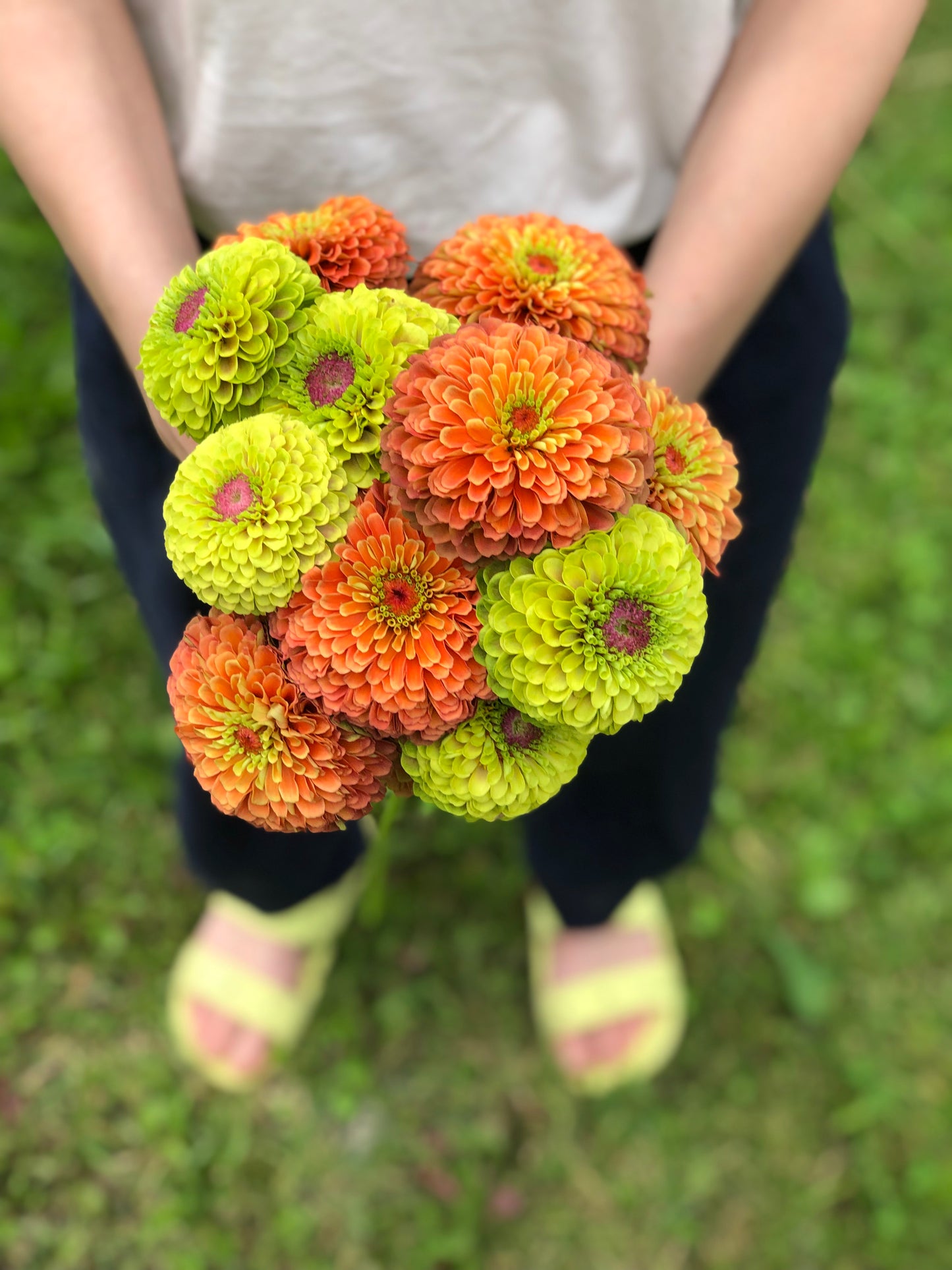 Flower, Queen Lime and Orange