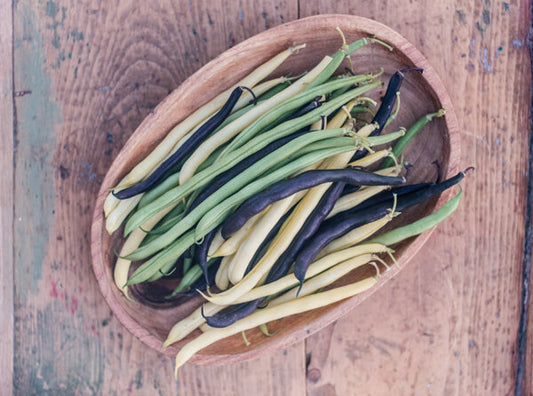 organic bush bean mix