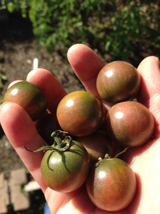 organic black cherry tomatoes