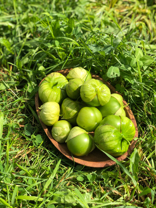 organic gigante verde tomatillo seeds