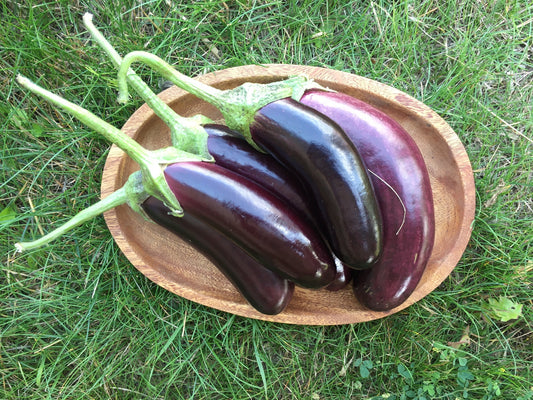 organic little finger eggplant seeds