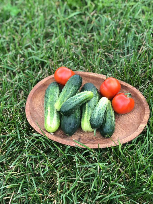organic little leaf pickling cucumber seeds