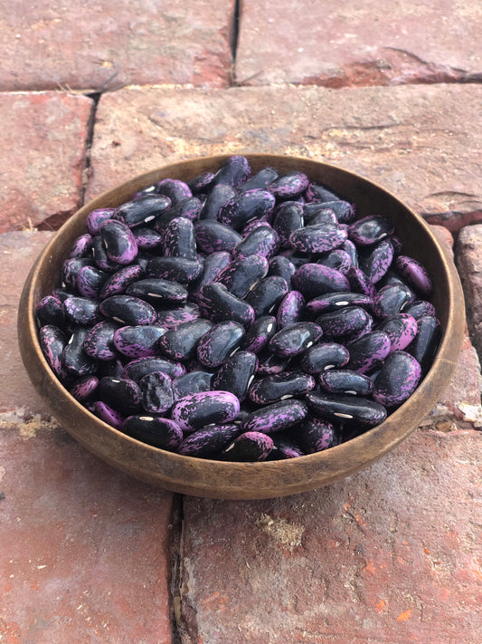 organic scarlet runner pole beans