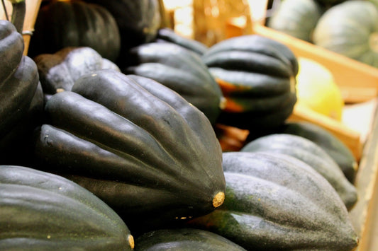 organic-table-king-acorn-squash-seeds