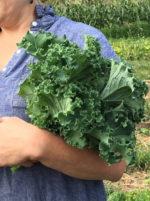 organic curly vates kale