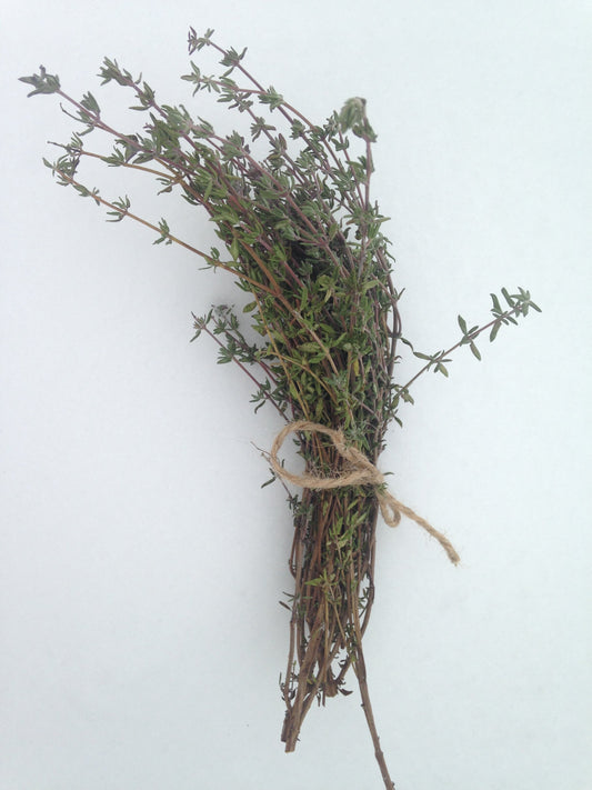 organic winter thyme seeds