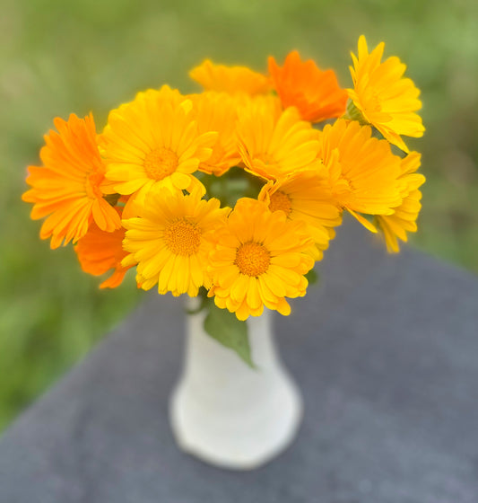 Flower, Resina Calendula