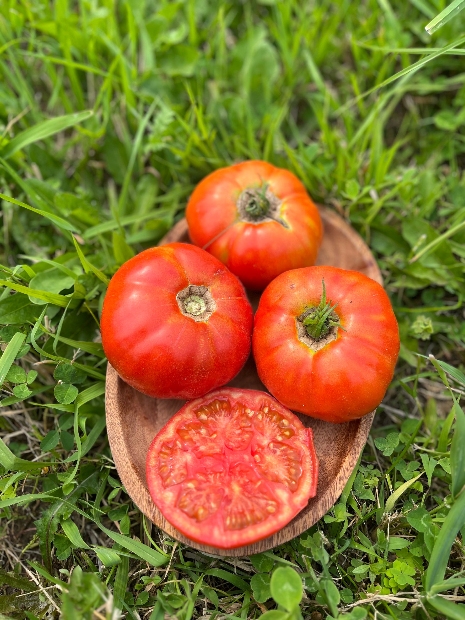 Brandywine tomato