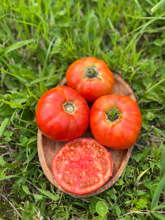Brandywine tomato