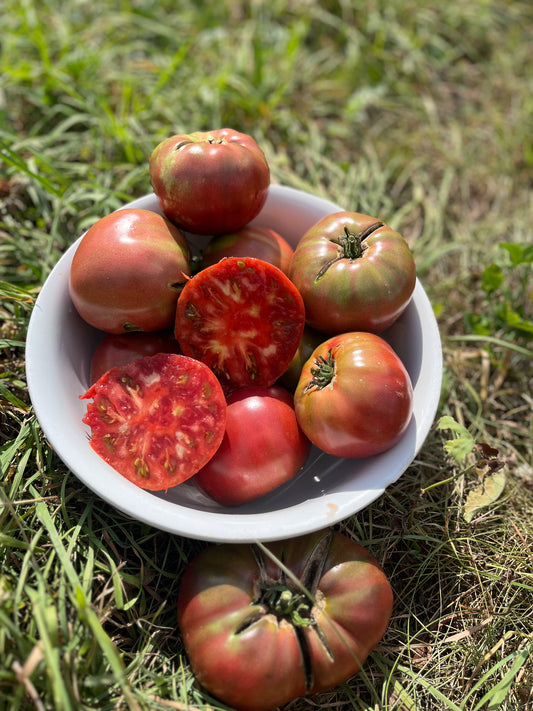 Cherokee Purple tomato