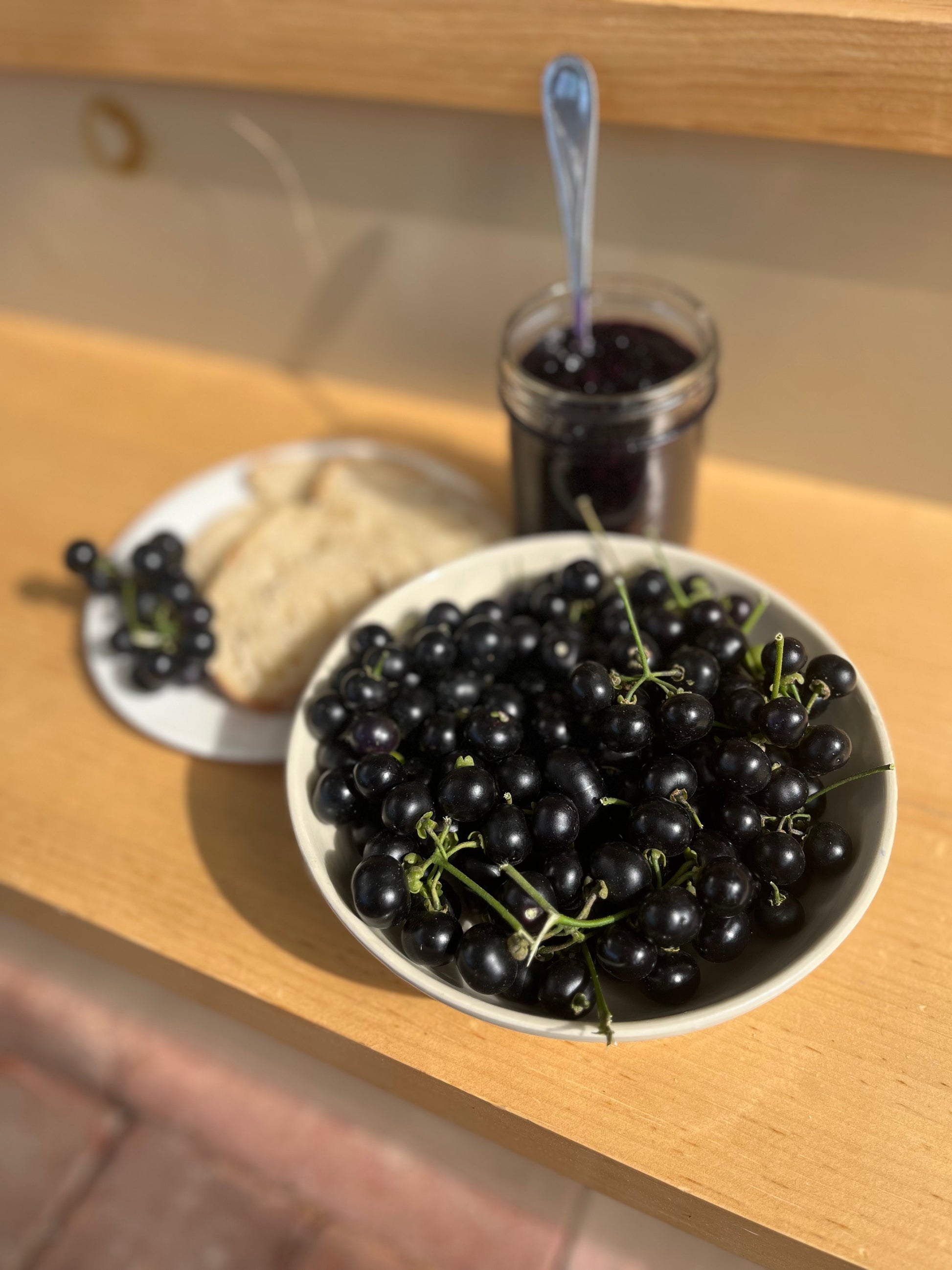 Garden Huckleberry