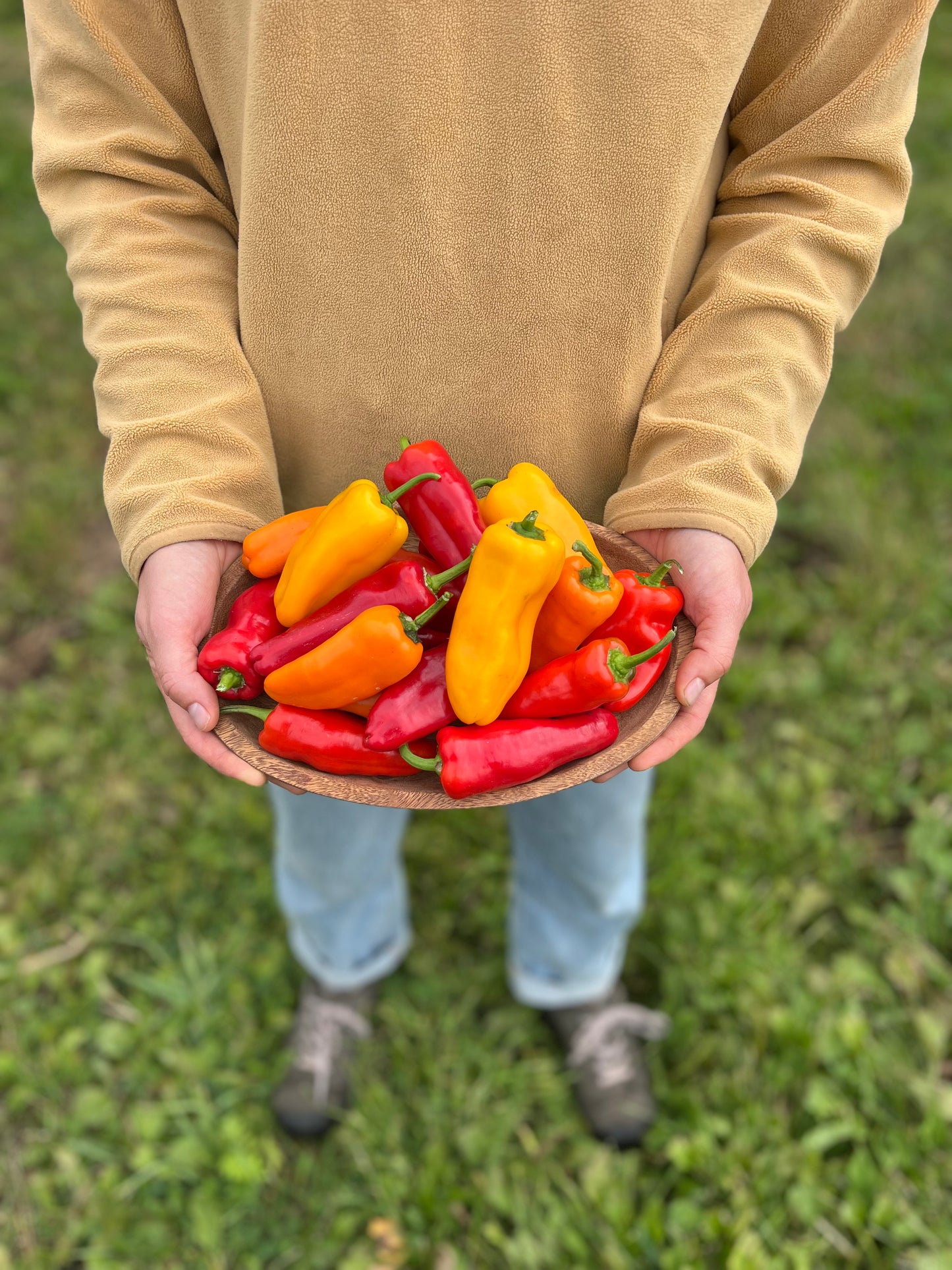 Picnic Snacking Peppers