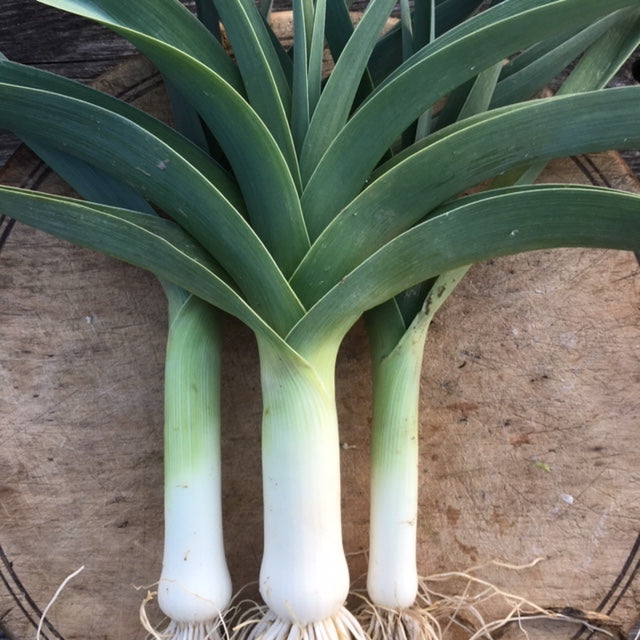 organic bleu de solaise leek