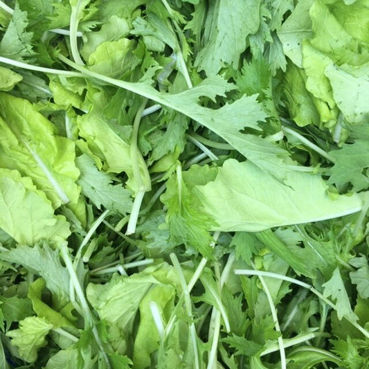 organic brassica mix greens