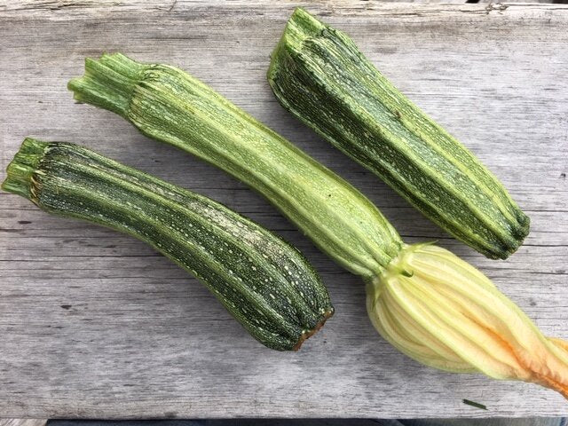 organic costata romanesco summer squash