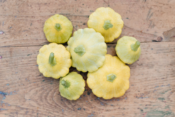 organic golden scallopini patty pan seeds